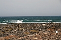 Kanary_2010 123